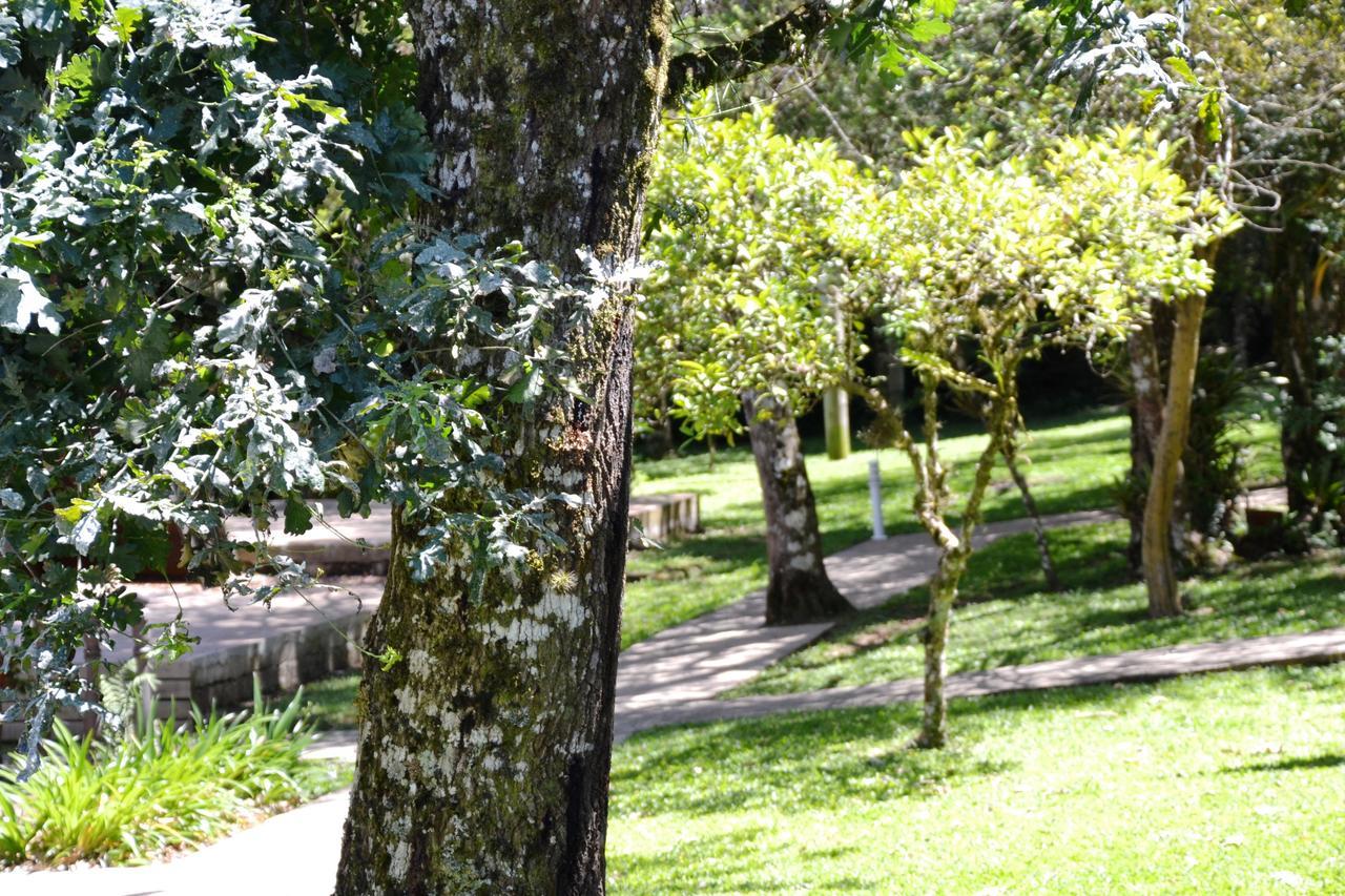 Hotel Pousada Dos Pinheiros 卡内拉 外观 照片